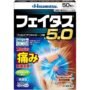Feitas 5.0 Pain Relief Patches — 50 Patches